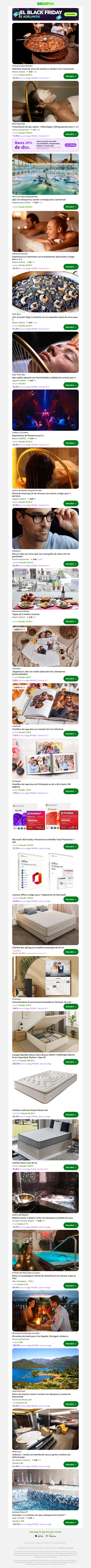 Delicioso menú de arroz de marisco o verdura con 3 entrantes