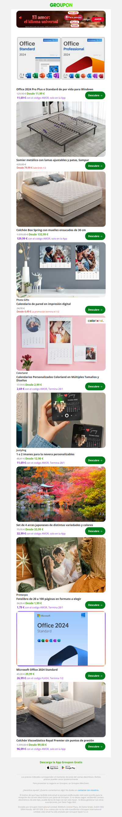 Office 2024 Pro Plus o Standard de por vida para Windows