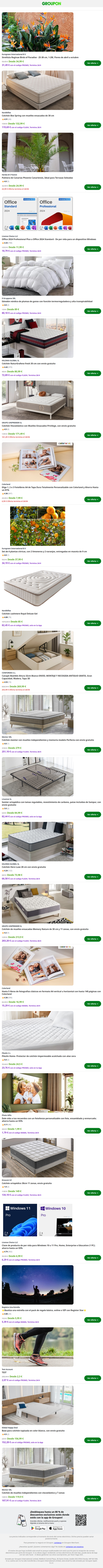 Strelitzia Reginae Birds of Paradise - 25-38 cm, 1-2M, Flores de abril a octubre