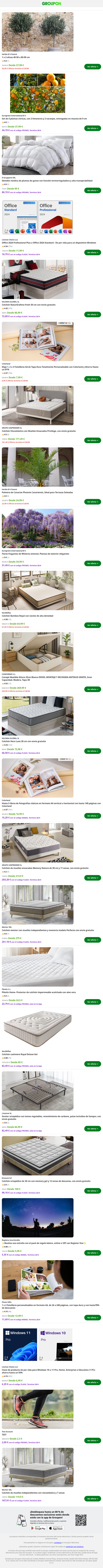 1 o 2 olivos 40-50 u 80-90 cm