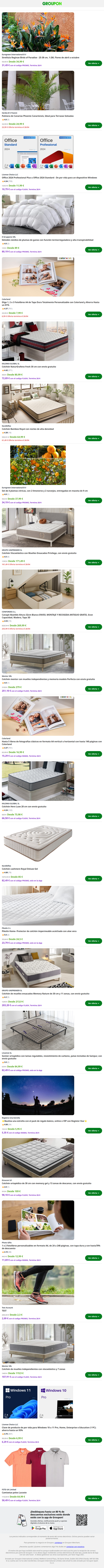 Palmera de Canarias Phoenix Canariensis, Ideal para Terrazas Soleadas