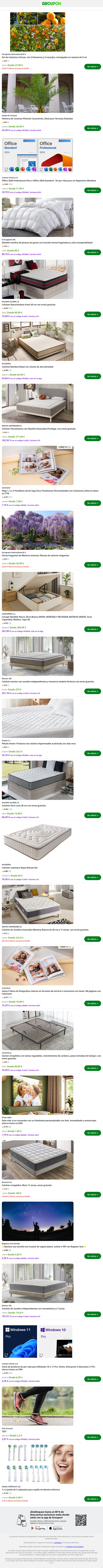 Set de 4 plantas cítricas, con 2 limoneros y 2 naranjos, entregadas en maceta de 9 cm