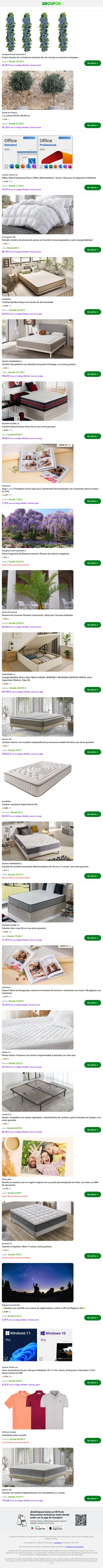 Office 2024 Professional Plus u Office 2024 Standard - De por vida para un dispositivo Windows