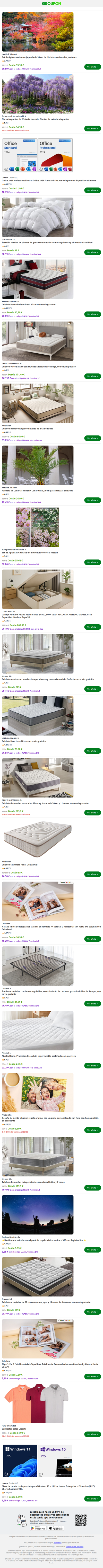 Set de 4 plantas de arce japonés de 35 cm de distintas variedades y colores