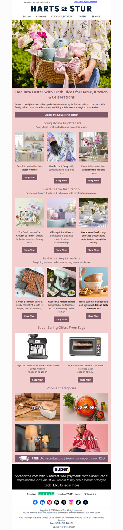 🐰 Spring Picks for a Joyful Easter