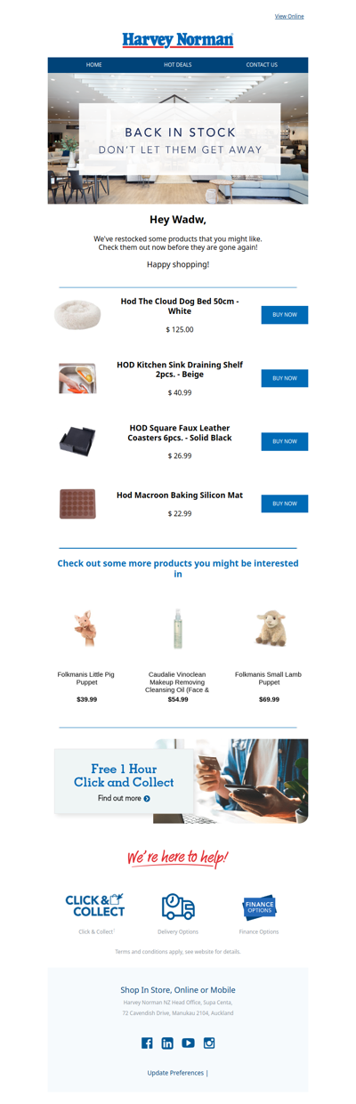 THEY'RE BACK! We restocked our most-wanted items.