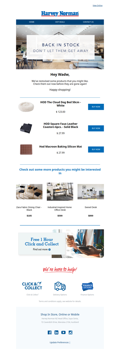 THEY'RE BACK! We restocked our most-wanted items.