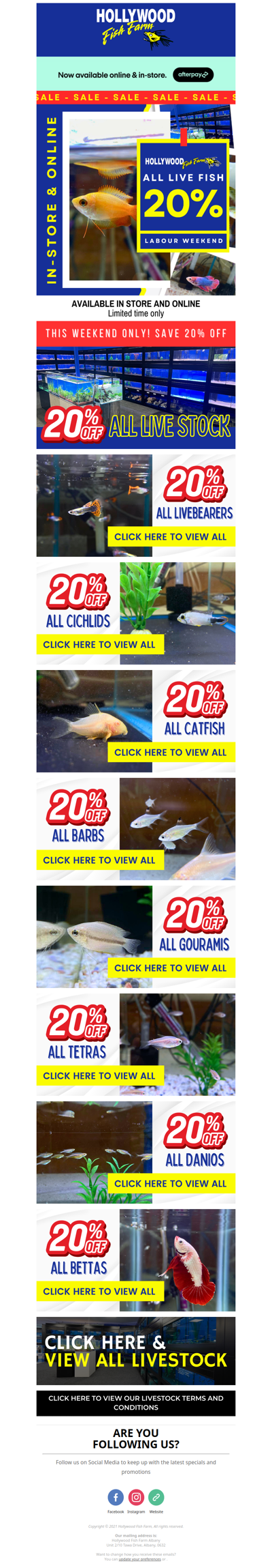 20% Off Fish Sale Starts Now! 🐠