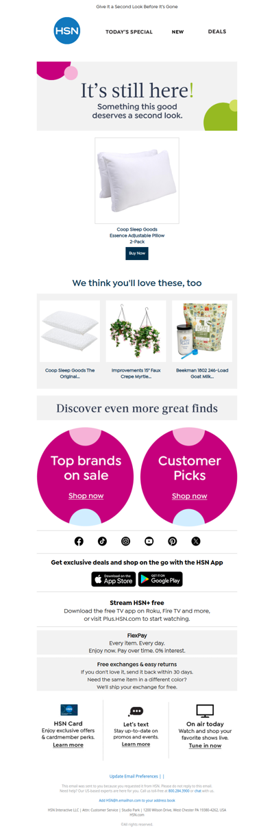 It's Still Here! Coop Sleep Goods Essence Adjustable Pillow 2-Pack