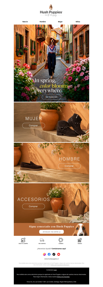 Acceso anticipado a nuestra nueva colección