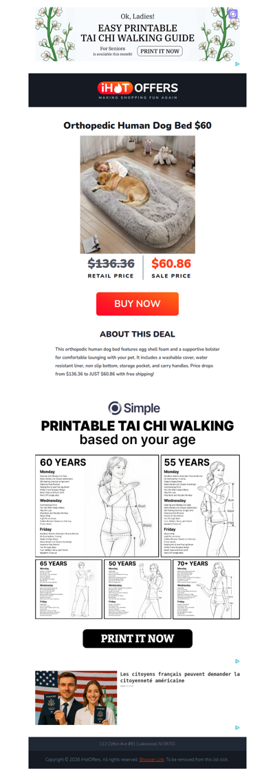 Orthopedic Human Dog Bed - $60