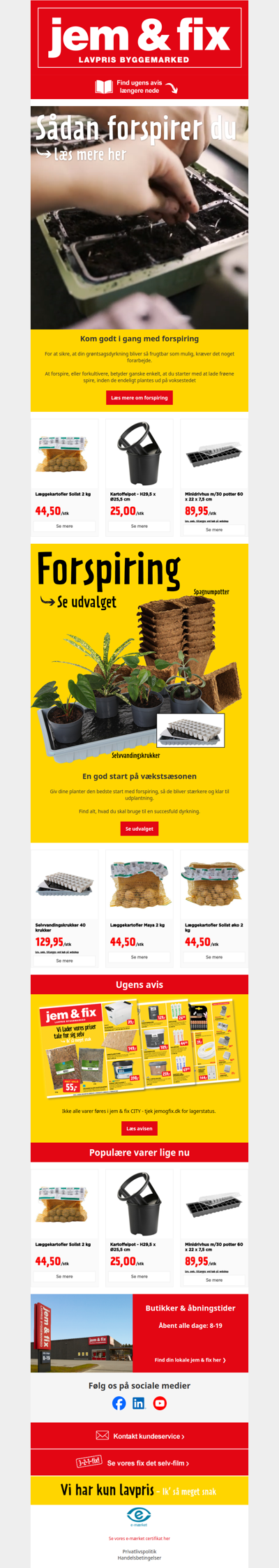 Læs: Sådan forspirer du🌱