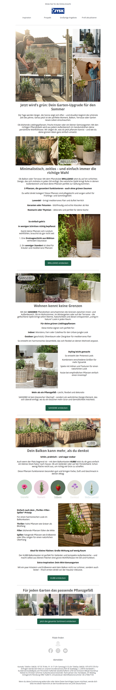 Jetzt pflanzen & den Sommer genießen 🌿