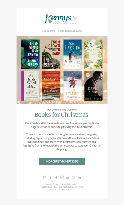 Books for Christmas at Kennys