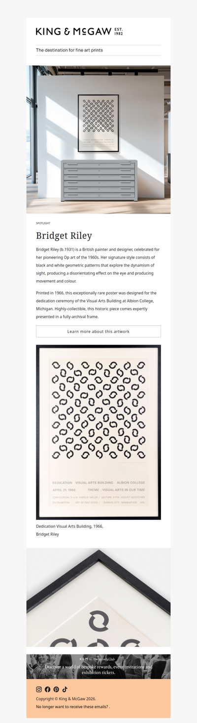 RARE: Bridget Riley exhibition poster