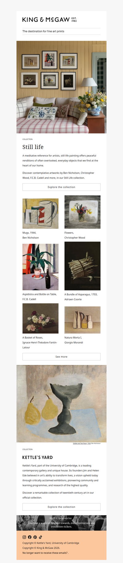 Contemplative Still Life