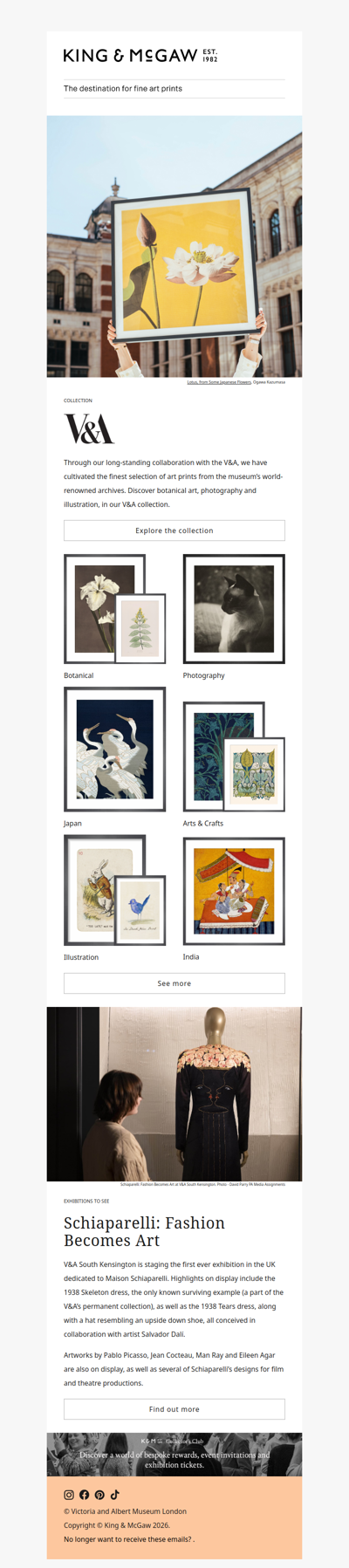 The V&A Collection