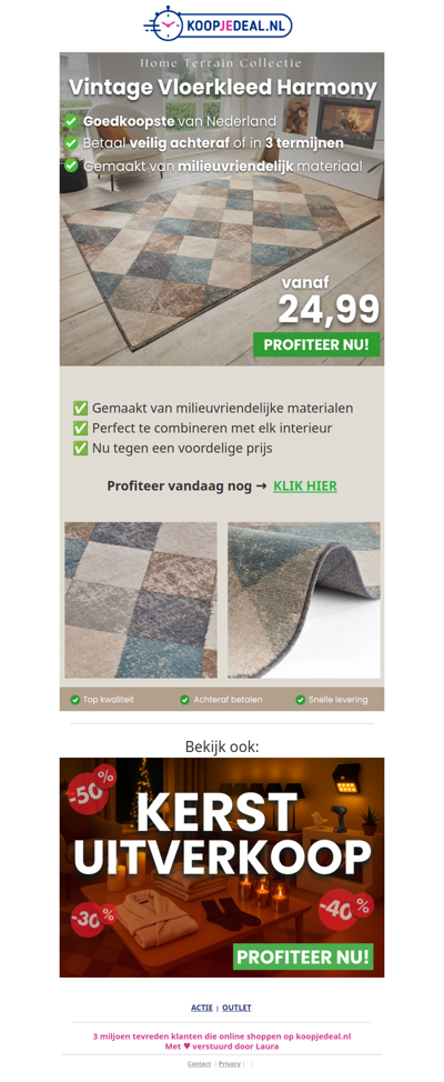 Vintage Vloerkleden met Korting ⭐