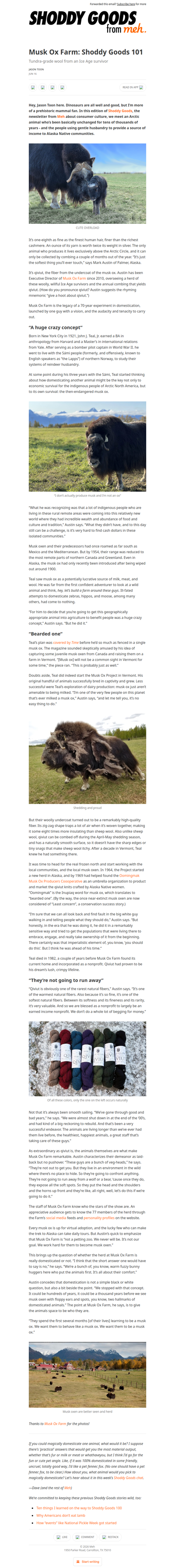 Musk Ox Farm: Shoddy Goods 101