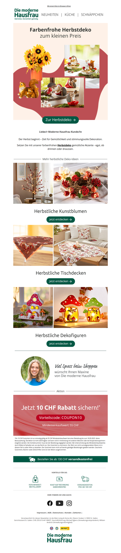 Farbenfrohe Herbstdeko zum kleinen Preis 🍂