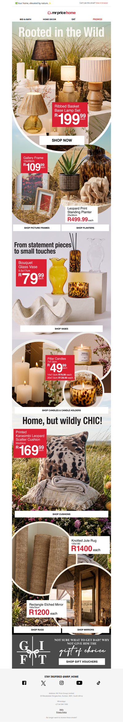 🐾A little safari magic for your space, soft textures and warm tones!✨