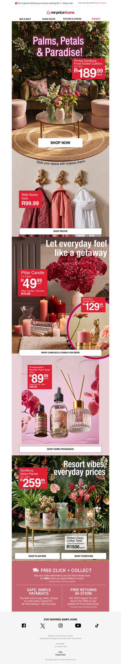 🌺Think Pink🏝️Tropical décor & homeware to instantly brighten your space!