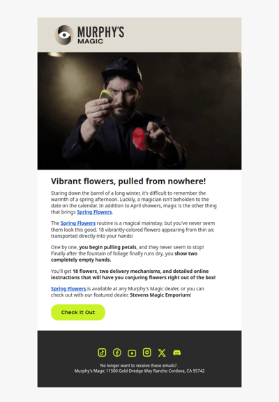 Unlock Stunning Magic Without the Cost!