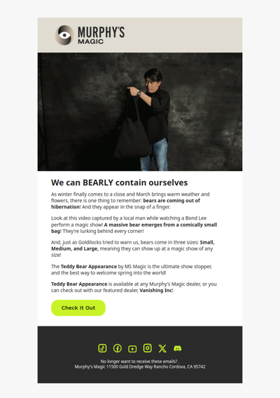 Bears at Magic Shows??