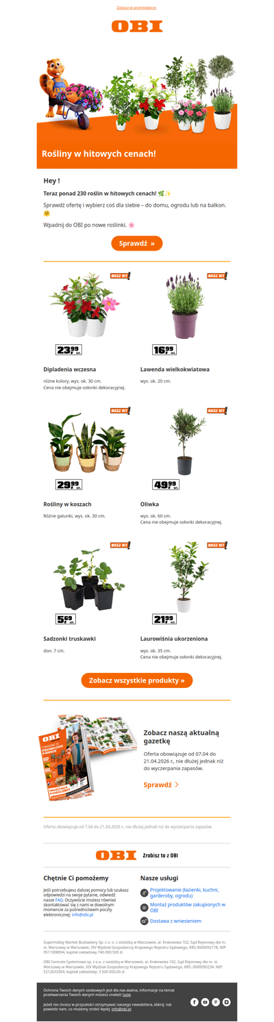 Wpadnij po nowe roślinki do OBI! 😍🌸