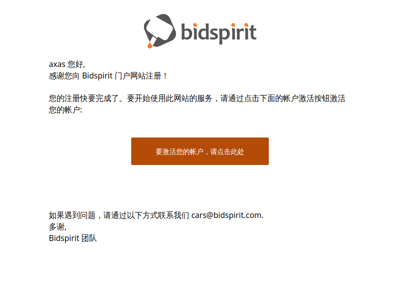 您在 Bidspirit 的帐户