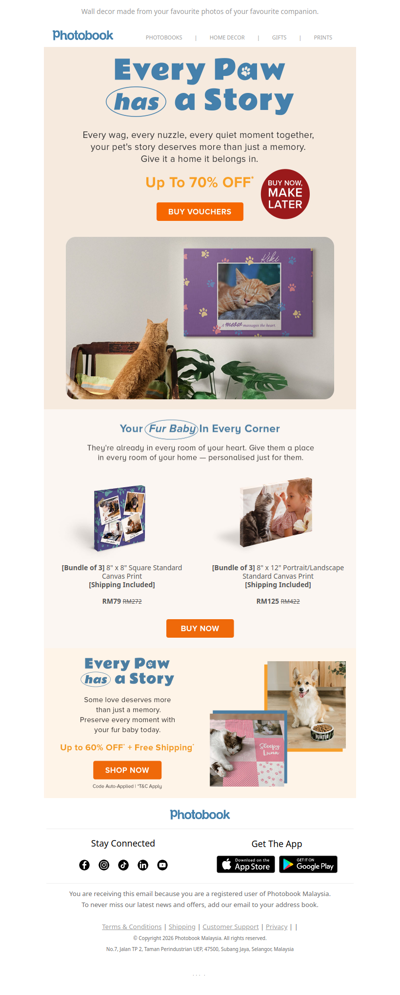 Home feels more like home with them in it 🐾