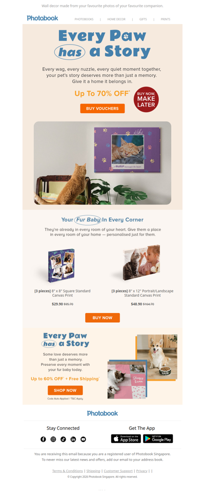 Home feels more like home with them in it 🐾