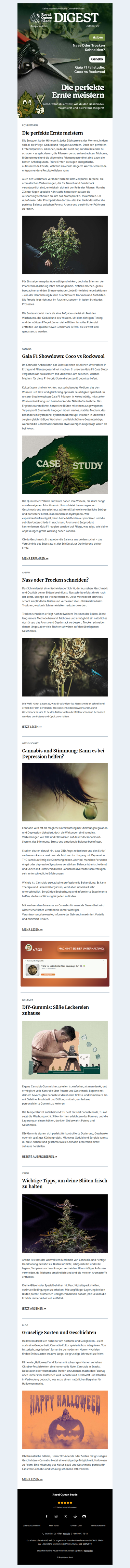 RQS Digest - Oktober 🗞️