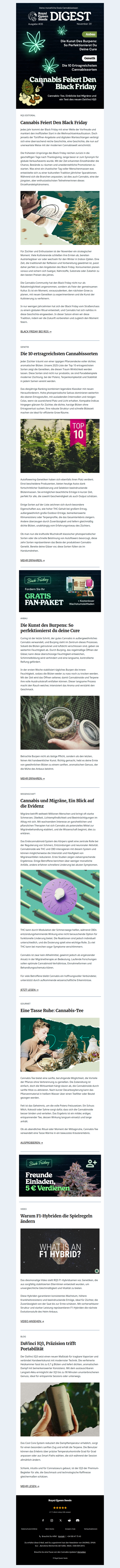 RQS Digest - November🗞️