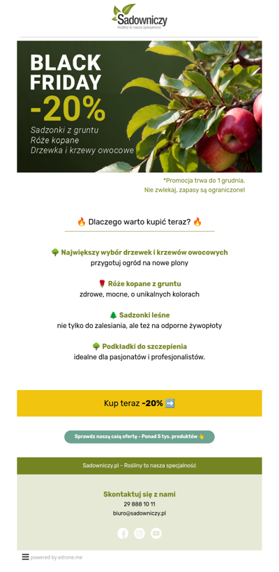 Black Friday z Sadowniczy.pl -20% na drzewka i sadzonki! 🌱