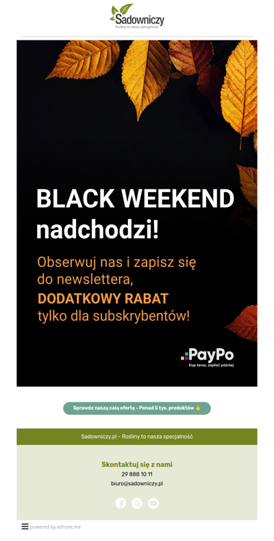 Odliczanie do Black Weekend w Sadowniczy.pl 🍂🪴