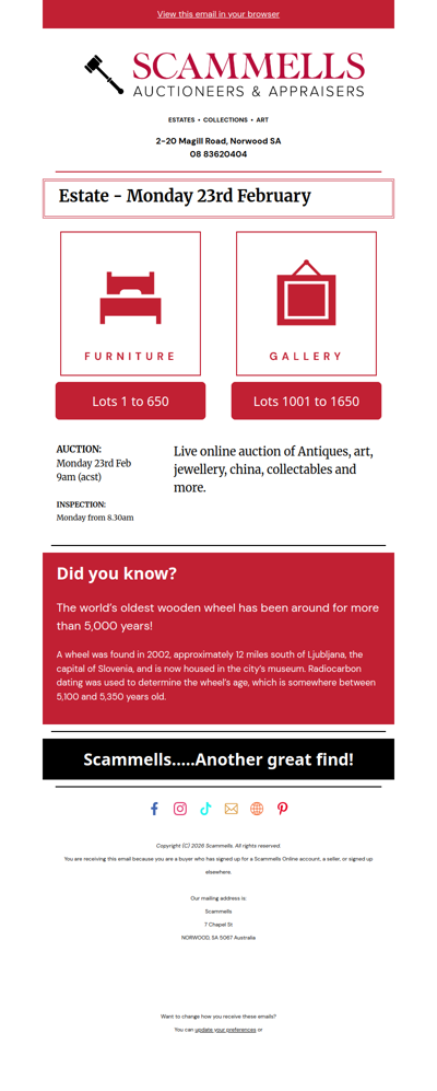 Huge Auction this week🤩