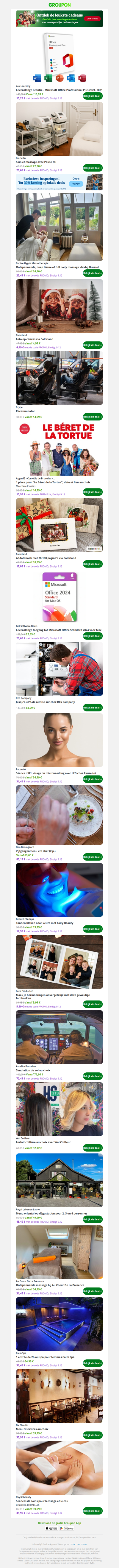 Levenslange licentie - Microsoft Office Professional Plus 2024, 2021