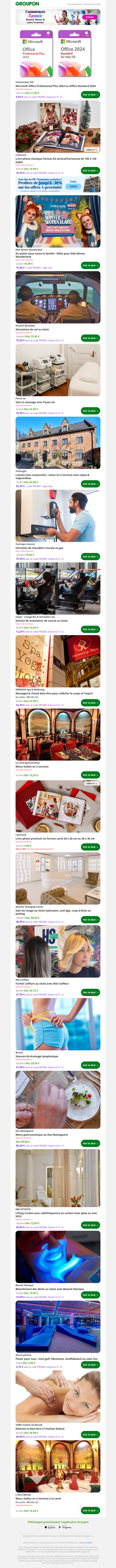 Microsoft Office Professional Plus 2024 ou Office Standard 2024