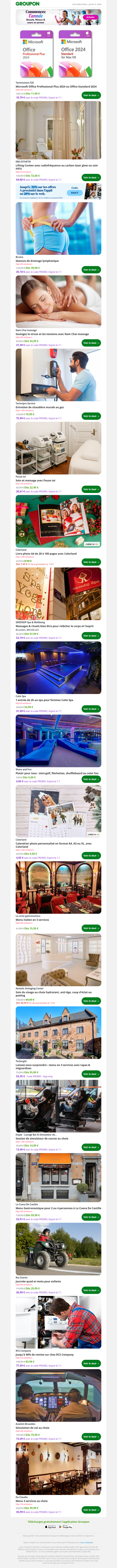 Microsoft Office Professional Plus 2024 ou Office Standard 2024