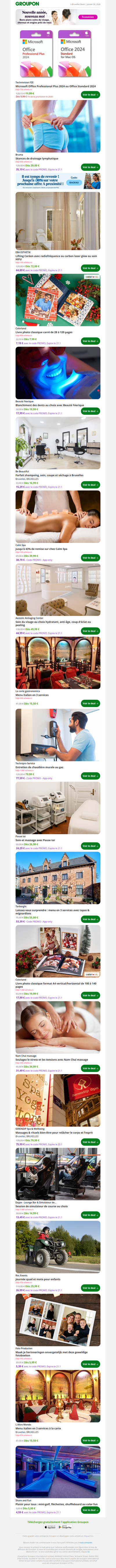 Microsoft Office Professional Plus 2024 ou Office Standard 2024