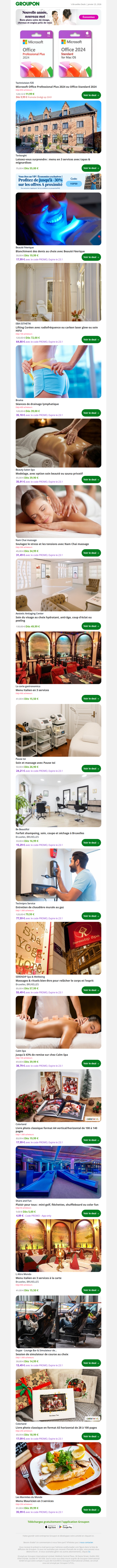 Microsoft Office Professional Plus 2024 ou Office Standard 2024