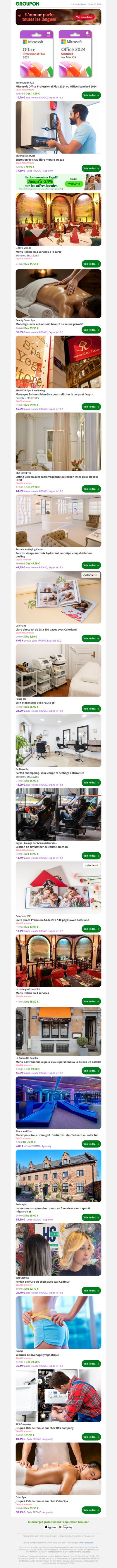 Microsoft Office Professional Plus 2024 ou Office Standard 2024