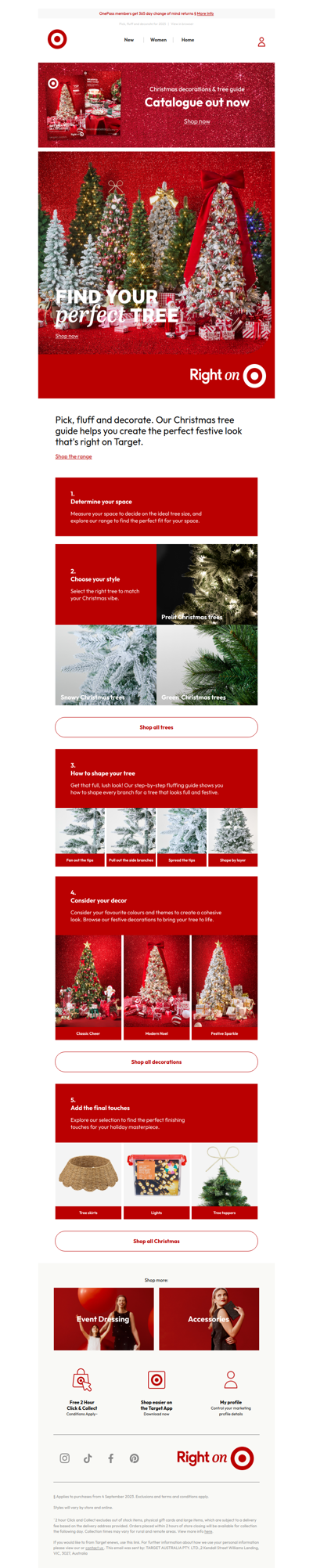 Perfect Christmas tree in 5 steps