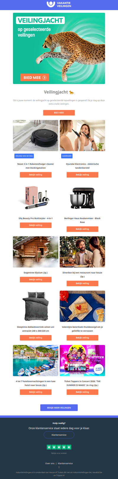 🐆 De veilingjacht is geopend: sla snel je slag