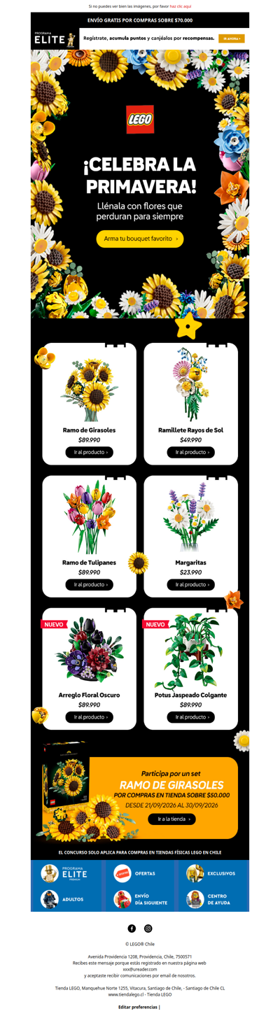 Primavera con flores que perduran 🌻
