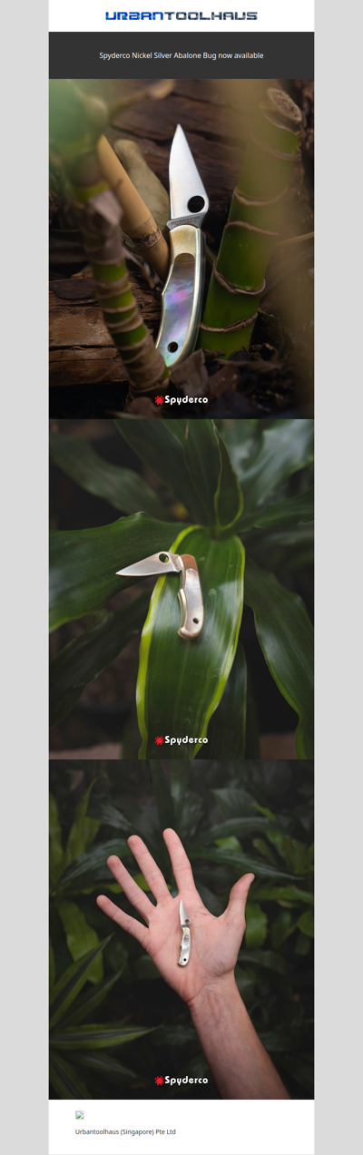 Spyderco Nickel Silver Abalone Bug now available