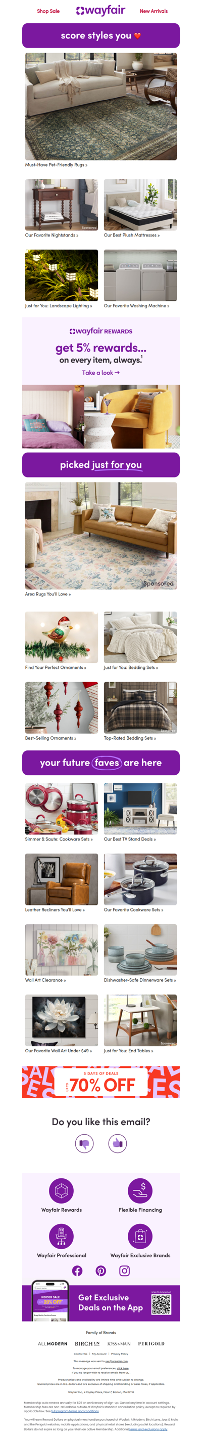 👀 PET-FRIENDLY RUGS worth the click