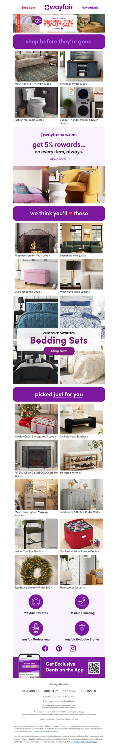 👀 PET-FRIENDLY RUGS worth the click