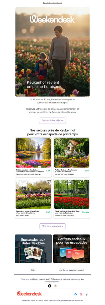 La saison des tulipes va bientôt commencer